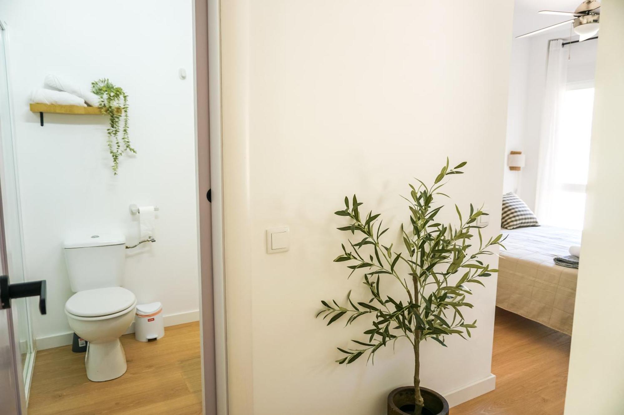 Apartamento El Olivo Alicante Exterior photo